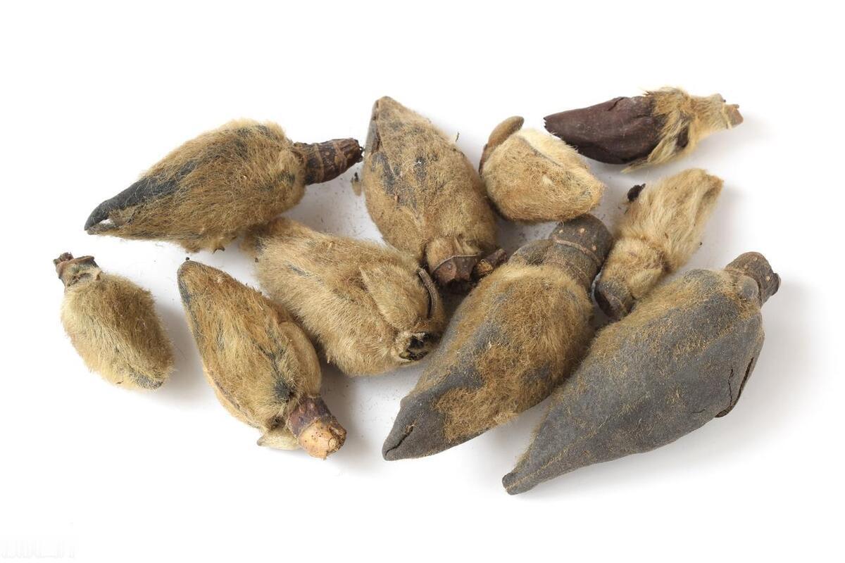 2015年，一疯老头用祭品换给我一张“消除鼻炎”的方子，刚开始我骂他是疯子净干缺