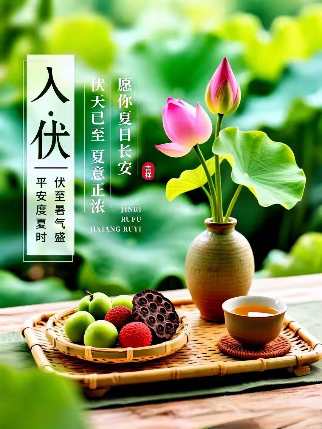初伏启序，暑气初扬。
阳浮于外，阴伏内藏。
食宜清润，忌冷贪凉。
粥温茶淡，护脾