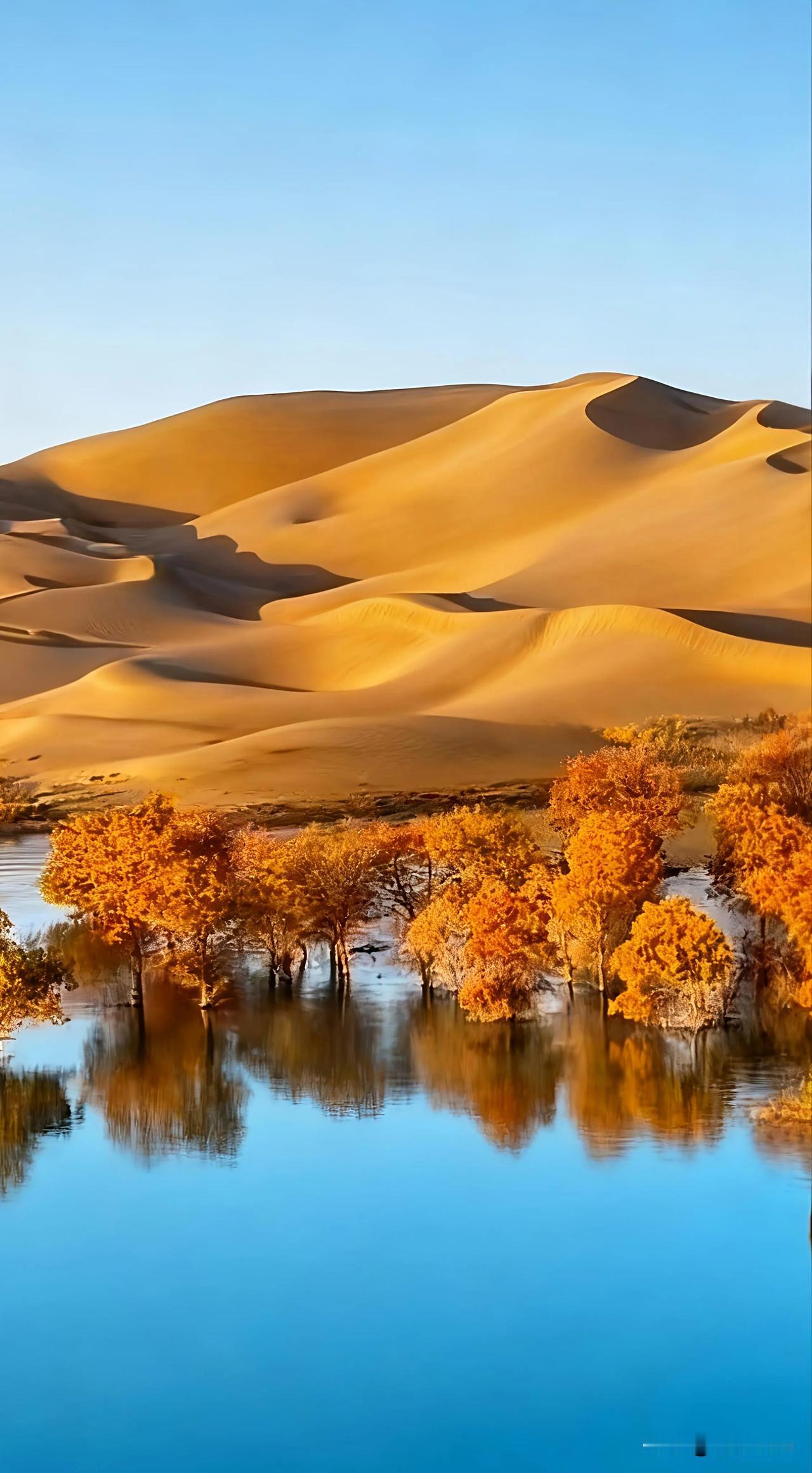 秋收冬藏：自然从不慌张，为何你我总在赶路？
 

文/清荷剧场

秋的最后一片红