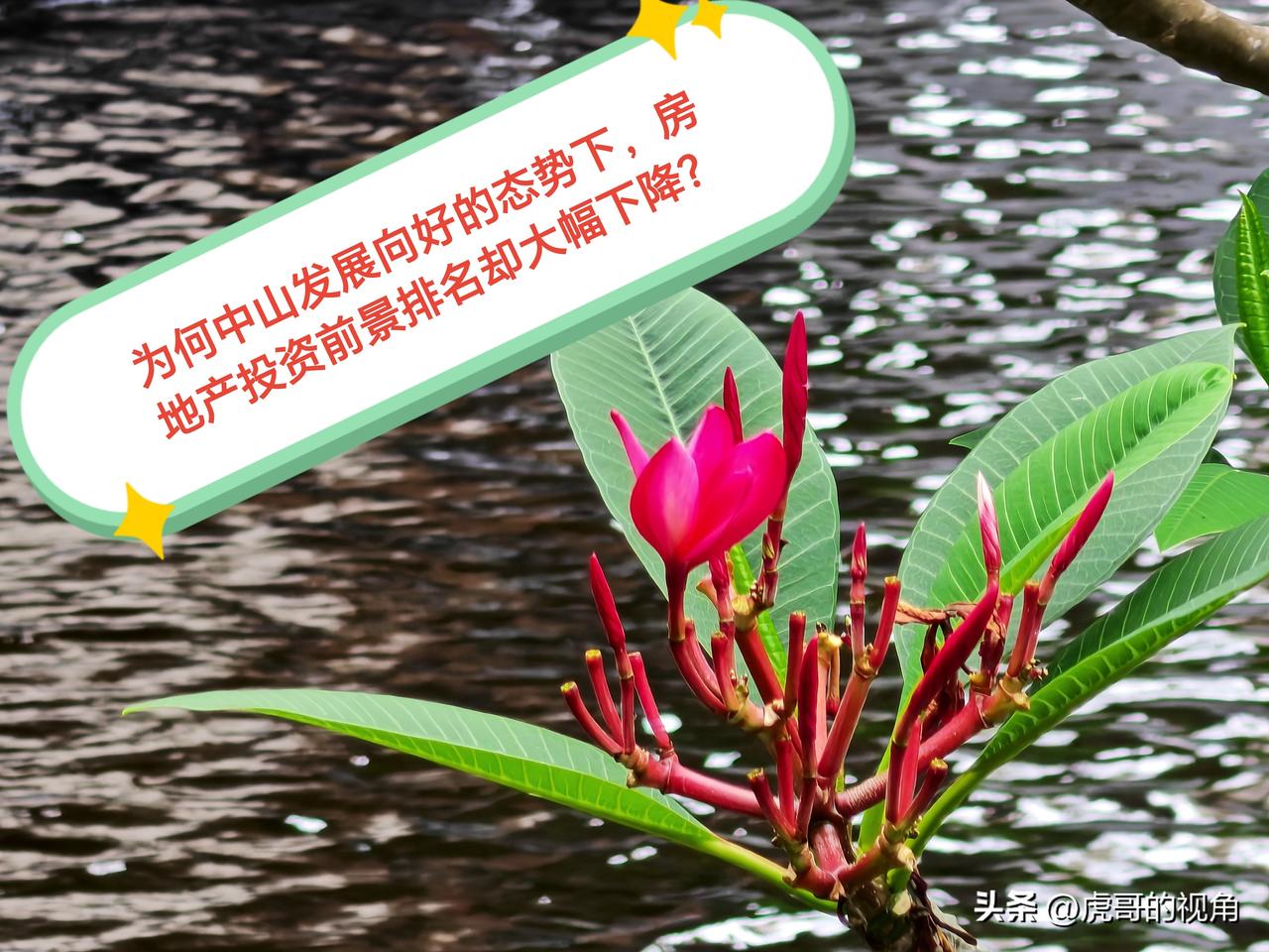 广东有七座城市入选2026年中国城市房地产投资前景TOP50城市，依次为深圳、广