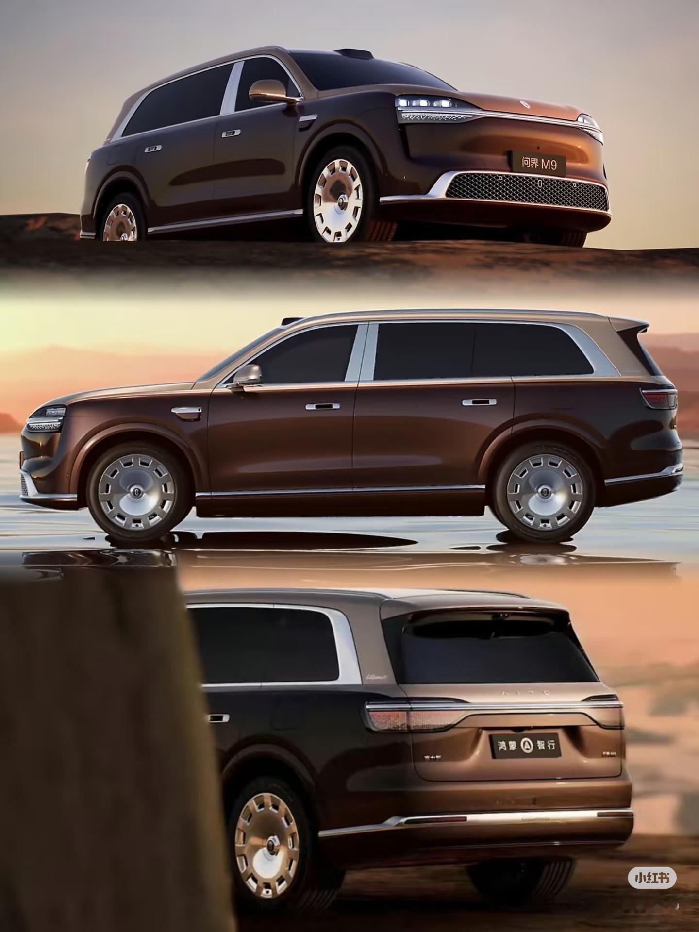今年车展，我着重拍了三台顶级华系SUV问界M9，蔚来ES9，理想L9那种自豪感是