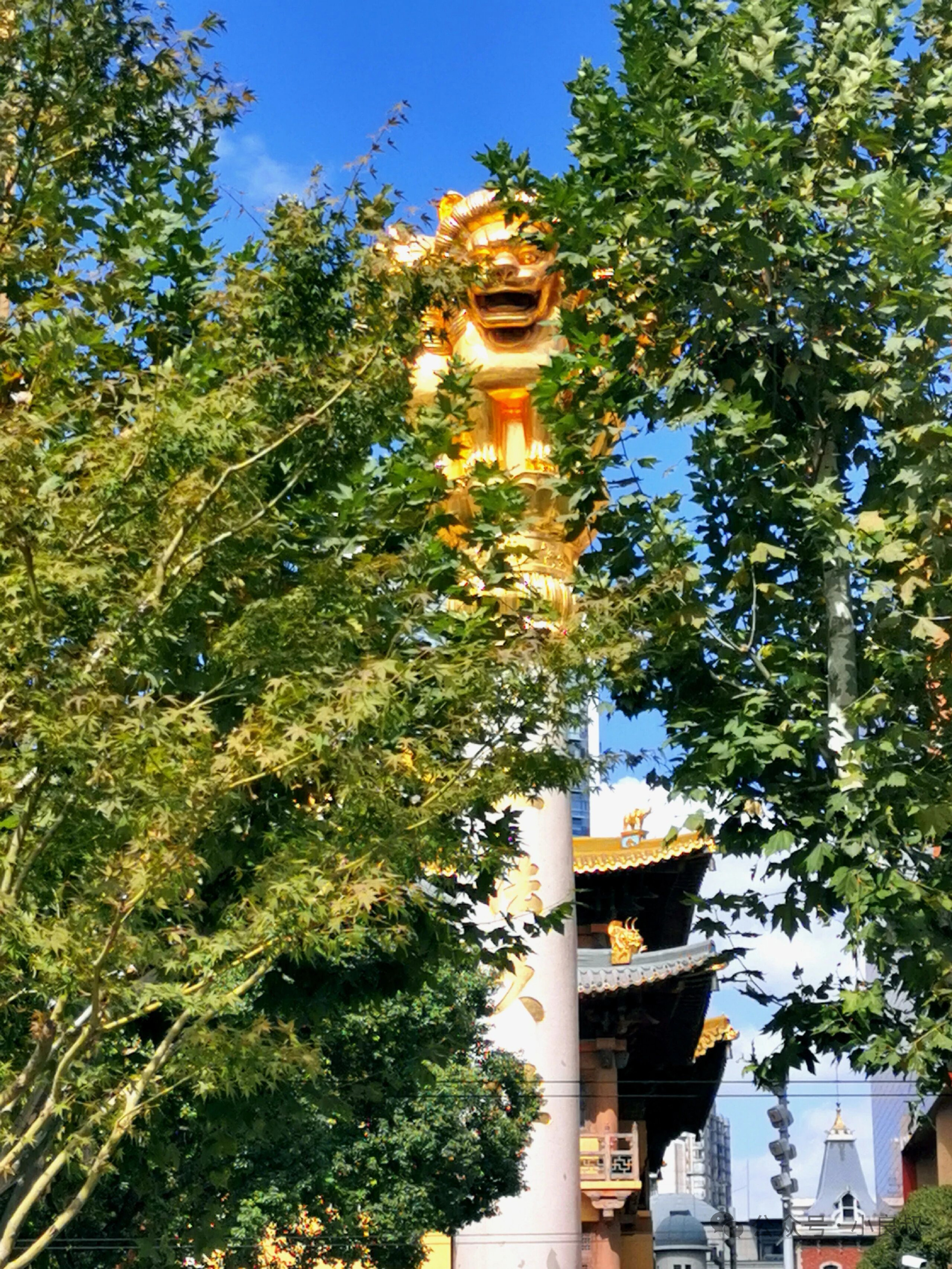 上海这次接住全球旅客 一江一河勾勒出上海独有的城市浪漫，沿着黄浦江、苏州河缓缓漫