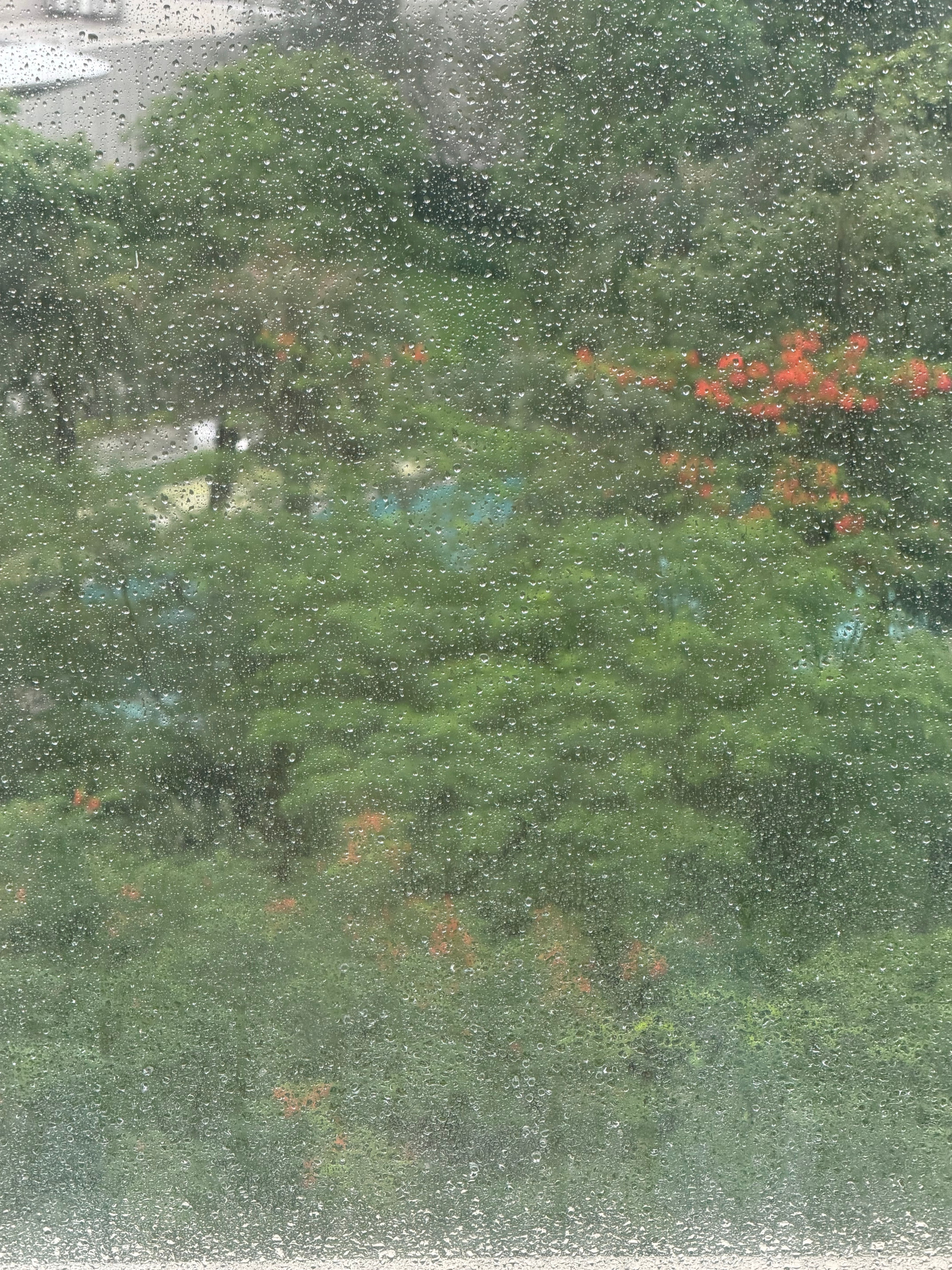 最近的日常Plog🌧️🏋️🧗♀️🍳🛥️ 