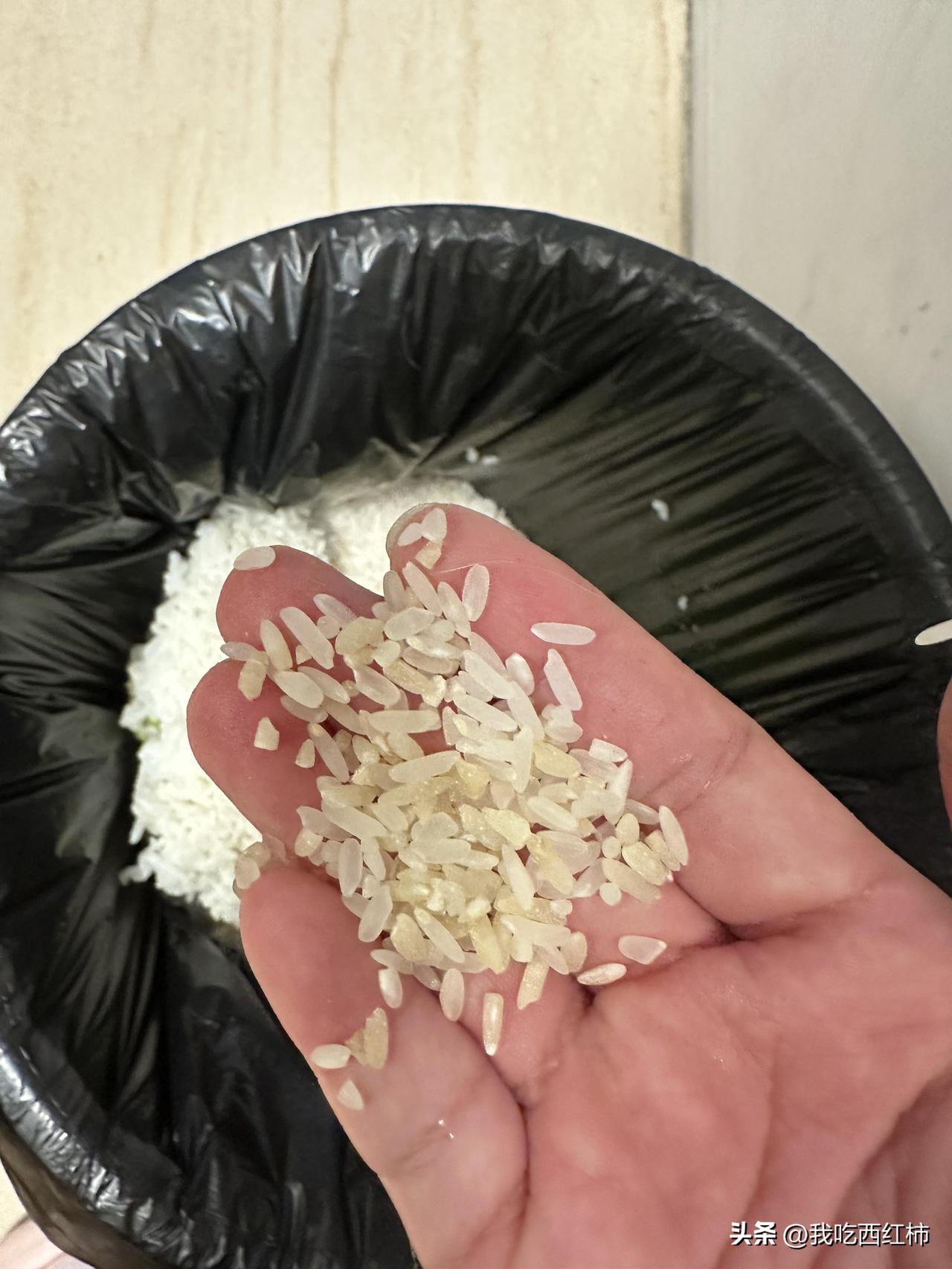 谁懂啊！猫尿进米缸，我们全家吃完才发现
真的要被我家逆子气死
趁我不注意直接钻进