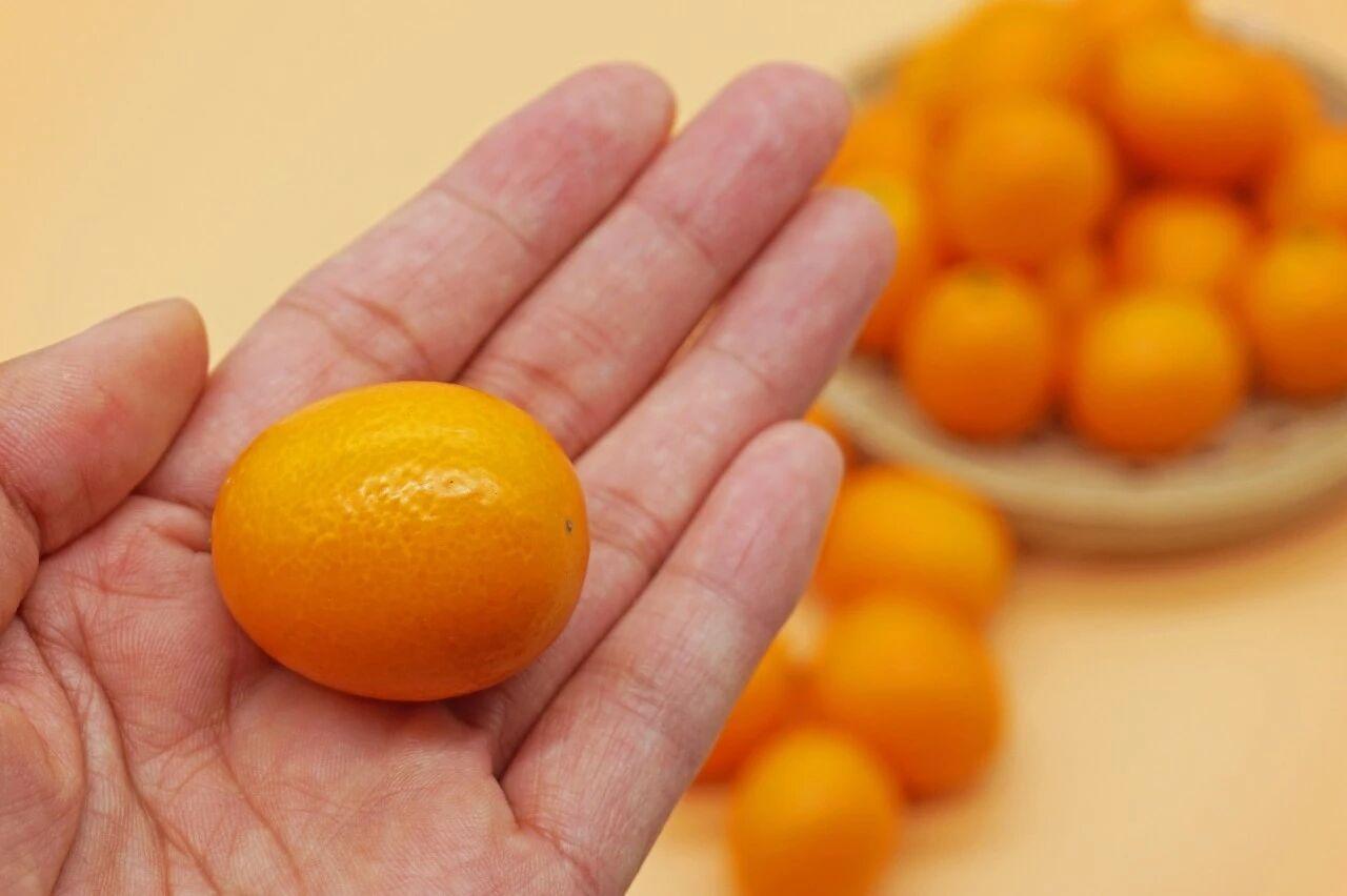 冬日金橘：理气养生的天然佳果

金橘，又名金桔、金柑，是冬日市集里常见的金色小果