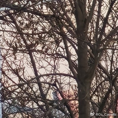 善良是春日里的和煦微风，善良是炎热夏日的清凉饮品，善良是秋日收获的喜悦，善良是冬