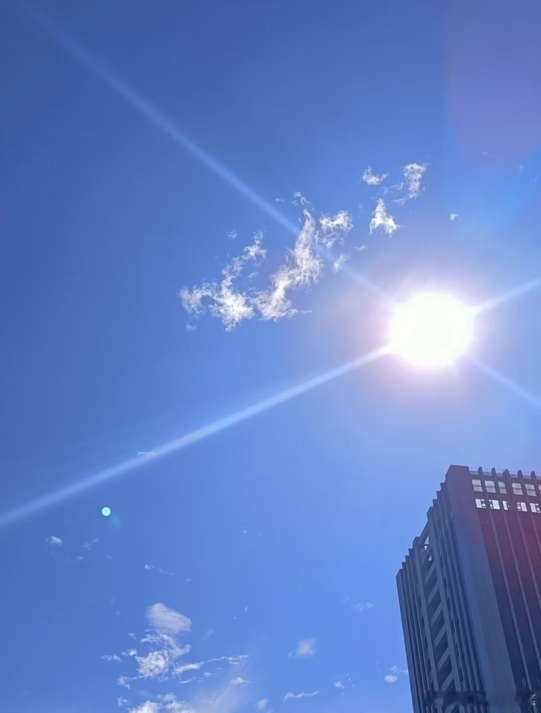 还没过年，怎么感觉冬天就要过去了，今天的太阳贼温暖。 