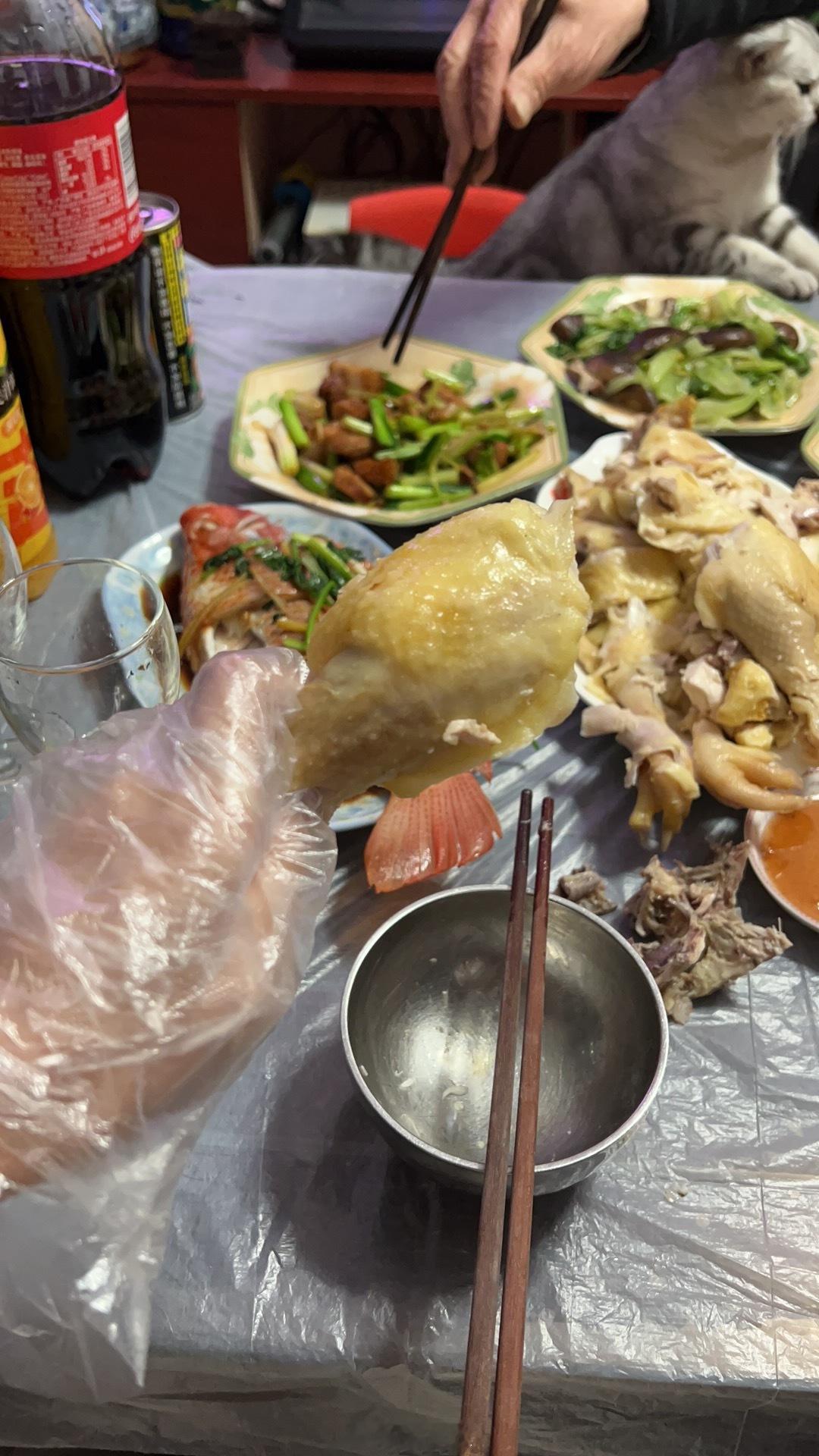 新年快乐家人们！新的一年祝大家所愿皆所得，所得即所愿 ​​​