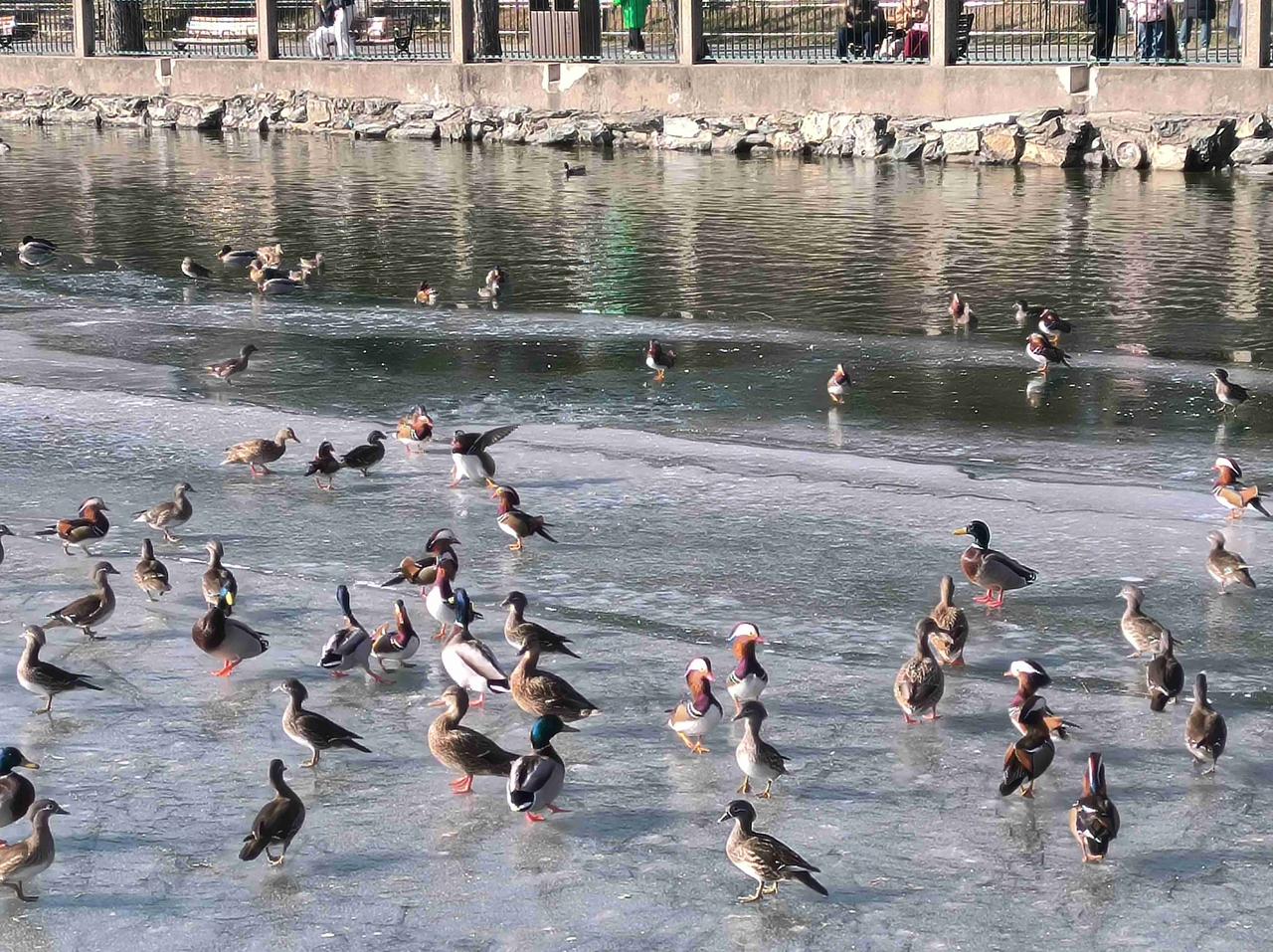 我的今日状态：😎自信酷炫
我这里的天气：☀️晴天