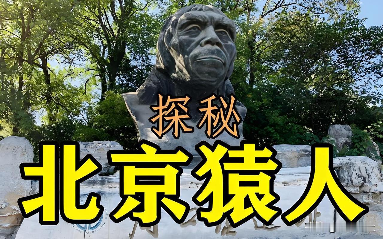 国家博物馆展出的北京猿人头盖骨全部是“模型”（真品丢了），这账必须算到日本人头上