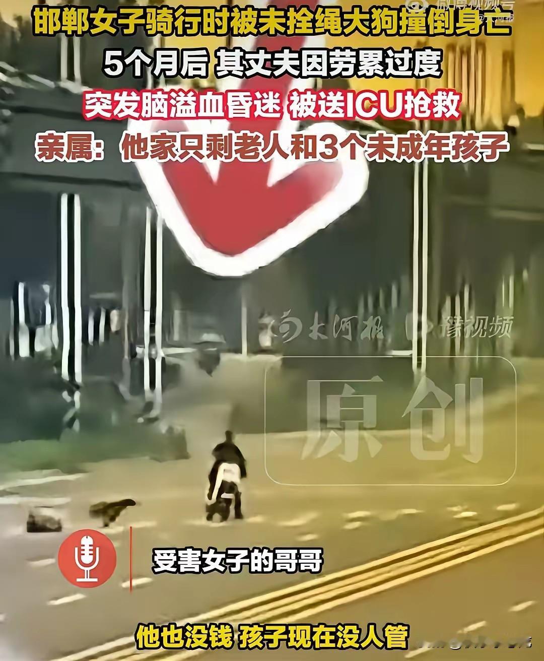 女子被大狗撞倒身亡，丈夫讨公道住进ICU，三个孩子将面临成为孤儿风险,
狗主人逃