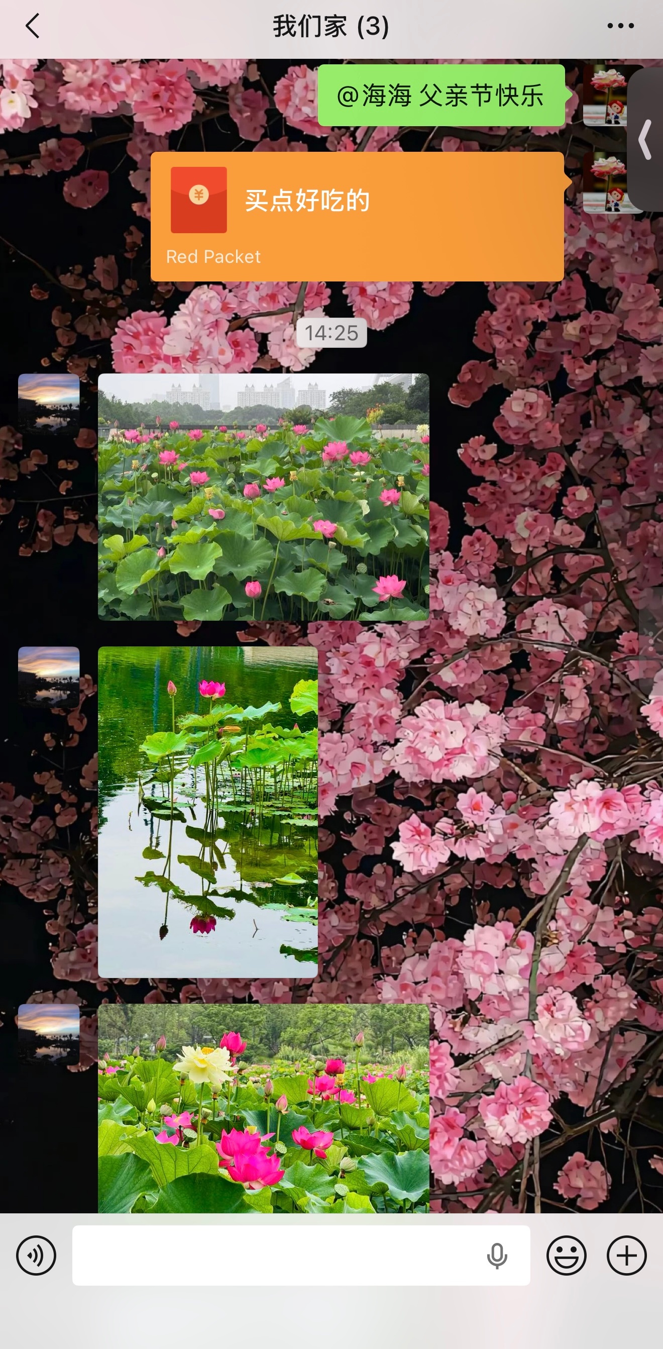 世博文化公园的荷花池看起来不错🪷父亲节快乐👨 