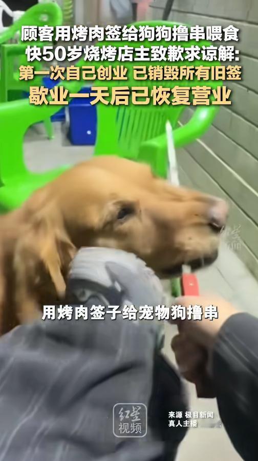 5月1日内蒙古赤峰，顾客带狗进餐厅，拿店里循环使用的烤肉铁签给狗撸串喂食，签子直