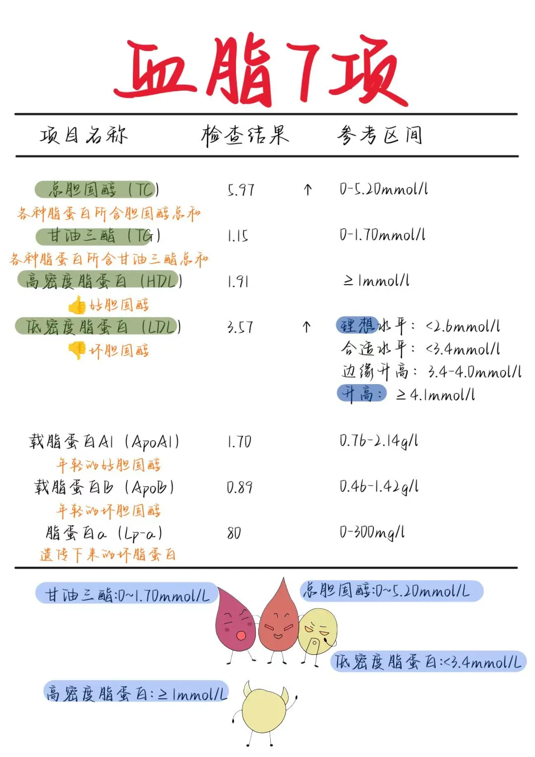 📋医学生笔记——血脂七项（指标解读版）