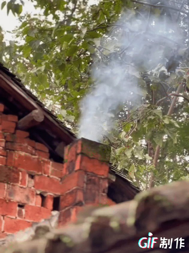 岁月的痕迹都忘记小时候生火烧锅的景象？

一到饭点每家每户那烟囱冒的难道都是污染
