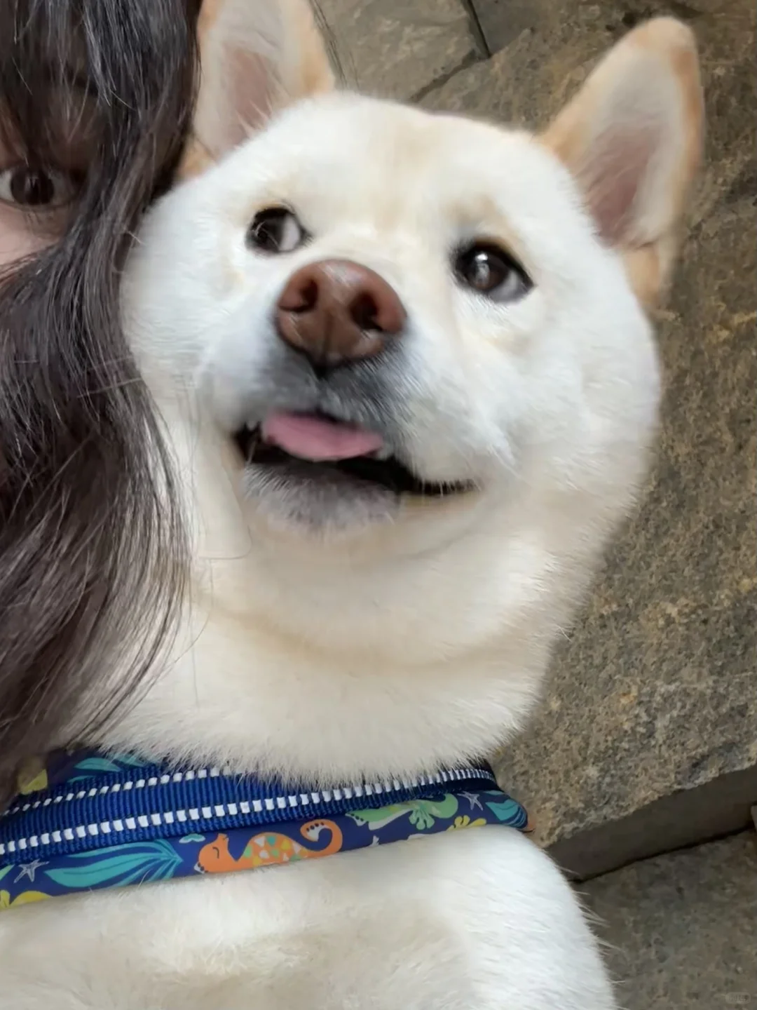 怎么拿我手机自拍啊？