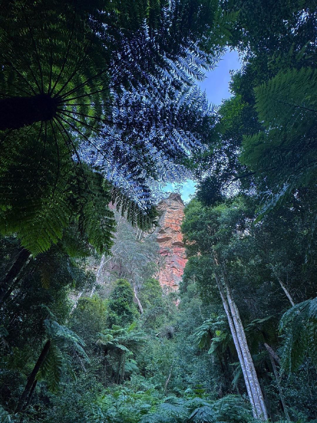 澳大利亚怎么这么好玩  澳大利亚新南威尔士州东部蓝山风景区，就像闯进了一部大自然