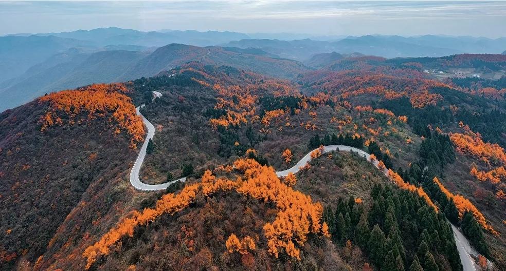 【财富总会从没有耐心的人手中，流向有耐心人的口袋】
        财富确实总会
