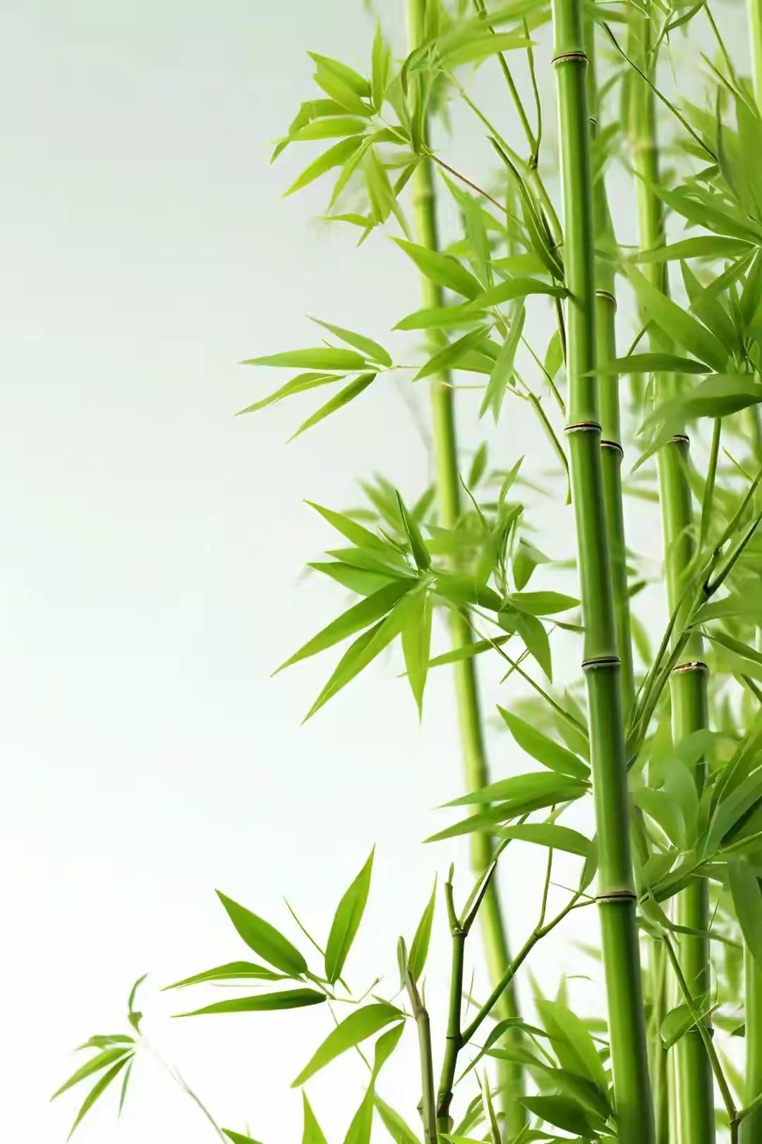 有人问我，什么是松弛感？松弛感说到底就是：做自己生活的主导者，扎根在满是烟火的日