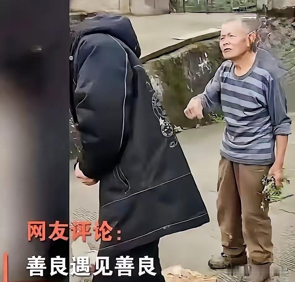 “太感人了！”重庆，一位年轻人下乡办事，不慎将一只鸡压死！可他做梦都没想到，接下