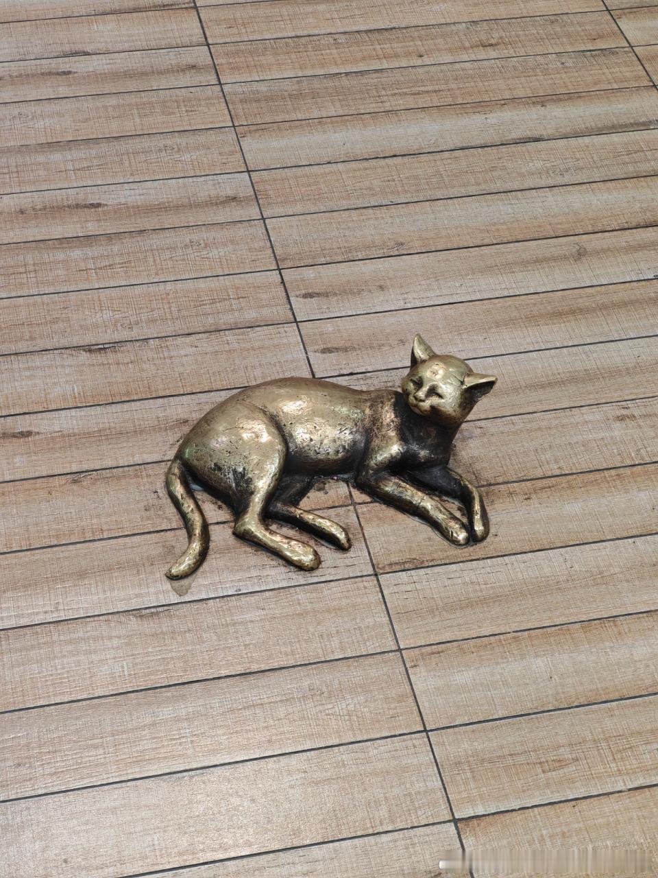 49064【丑猫】朝阳大悦城的，好难看的正脸 