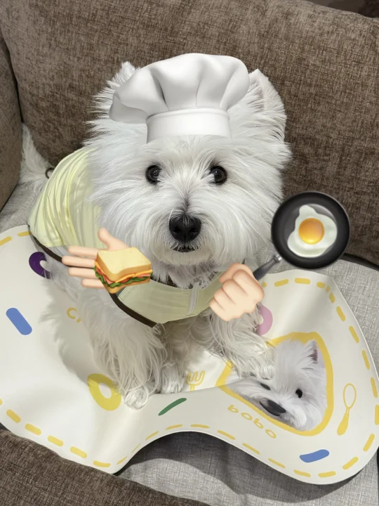 人，今天我做饭🍳