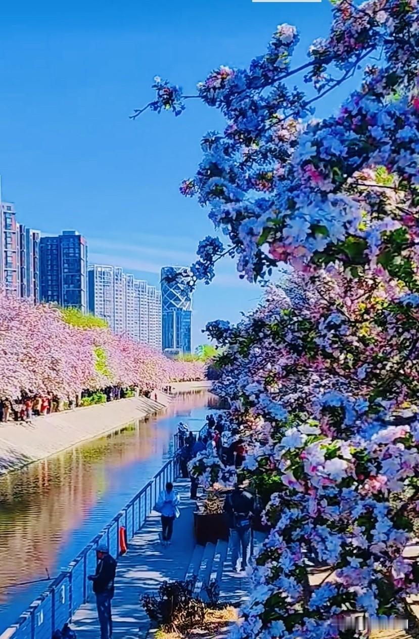 原创诗词 每日一诗 北京繁华似锦
＿＿＿郭赋林（釜麟）

长安街的灯火漫过城楼