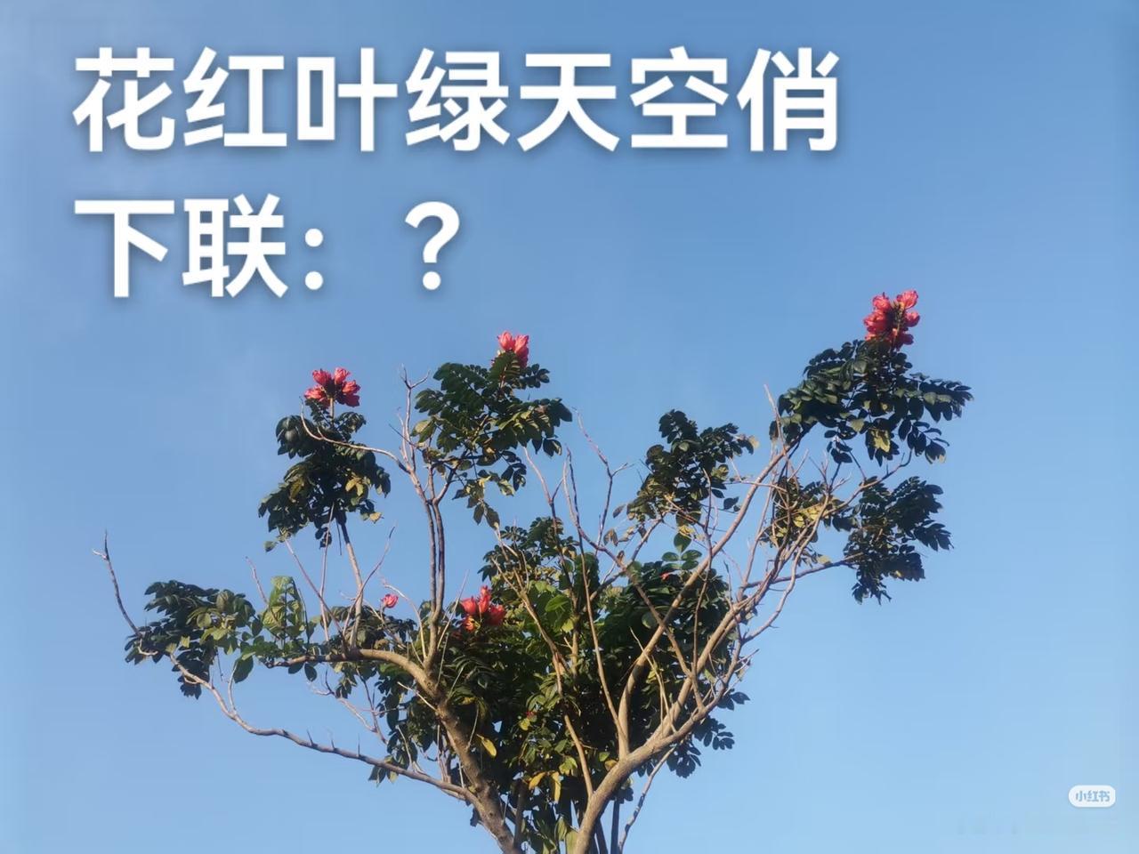 上联：花红叶绿天空俏，
下联：？