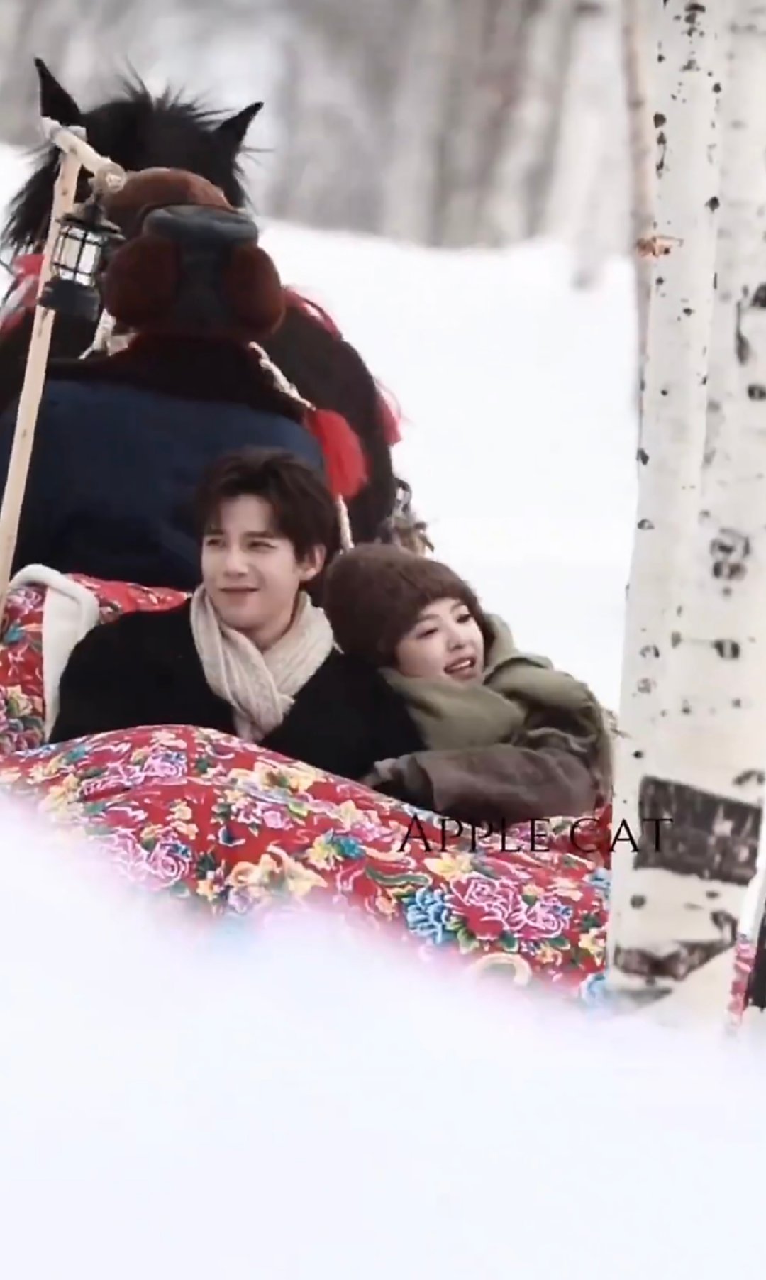 王安宇章若楠现偶版乡村爱情 谁能想到现偶能拍出乡村爱情内味儿，花棉被和马拉车的搭