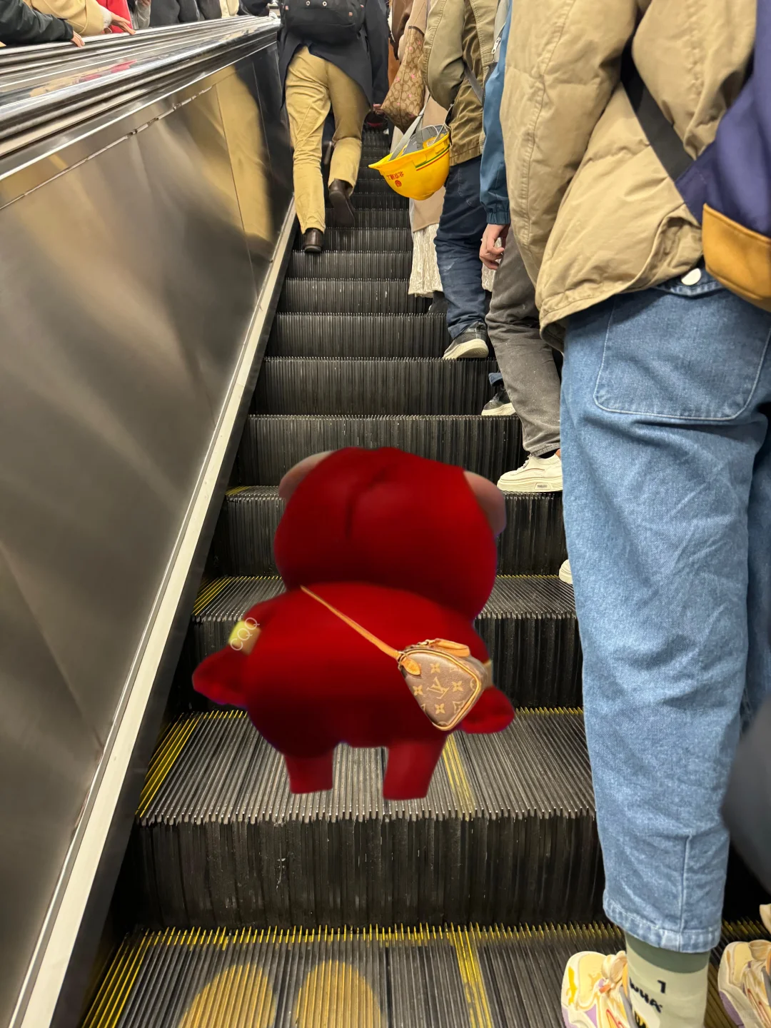 上电梯闻到一股味道，抬头一看前面站个猪
