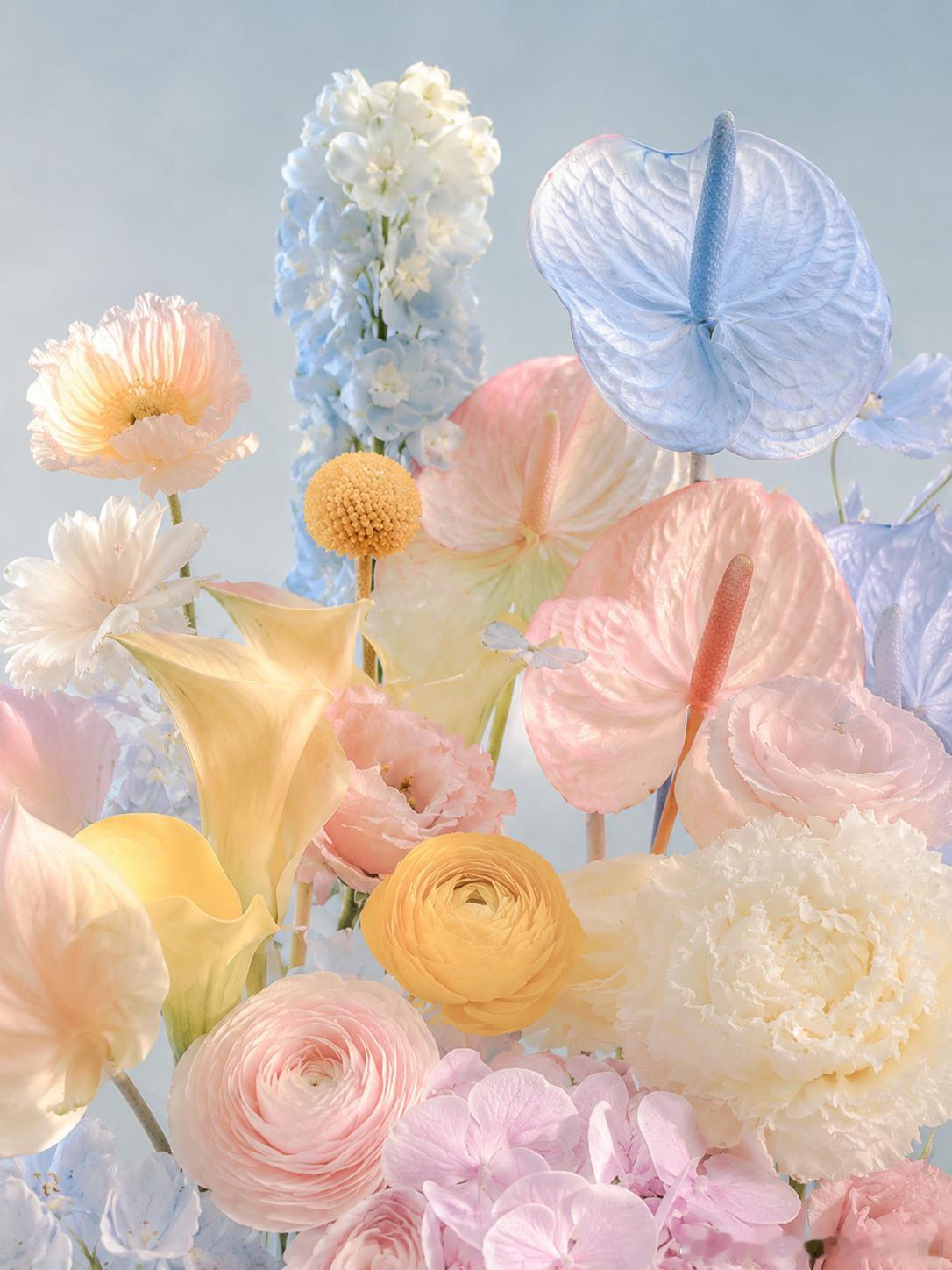 🖼️ 花样世界 ​​​