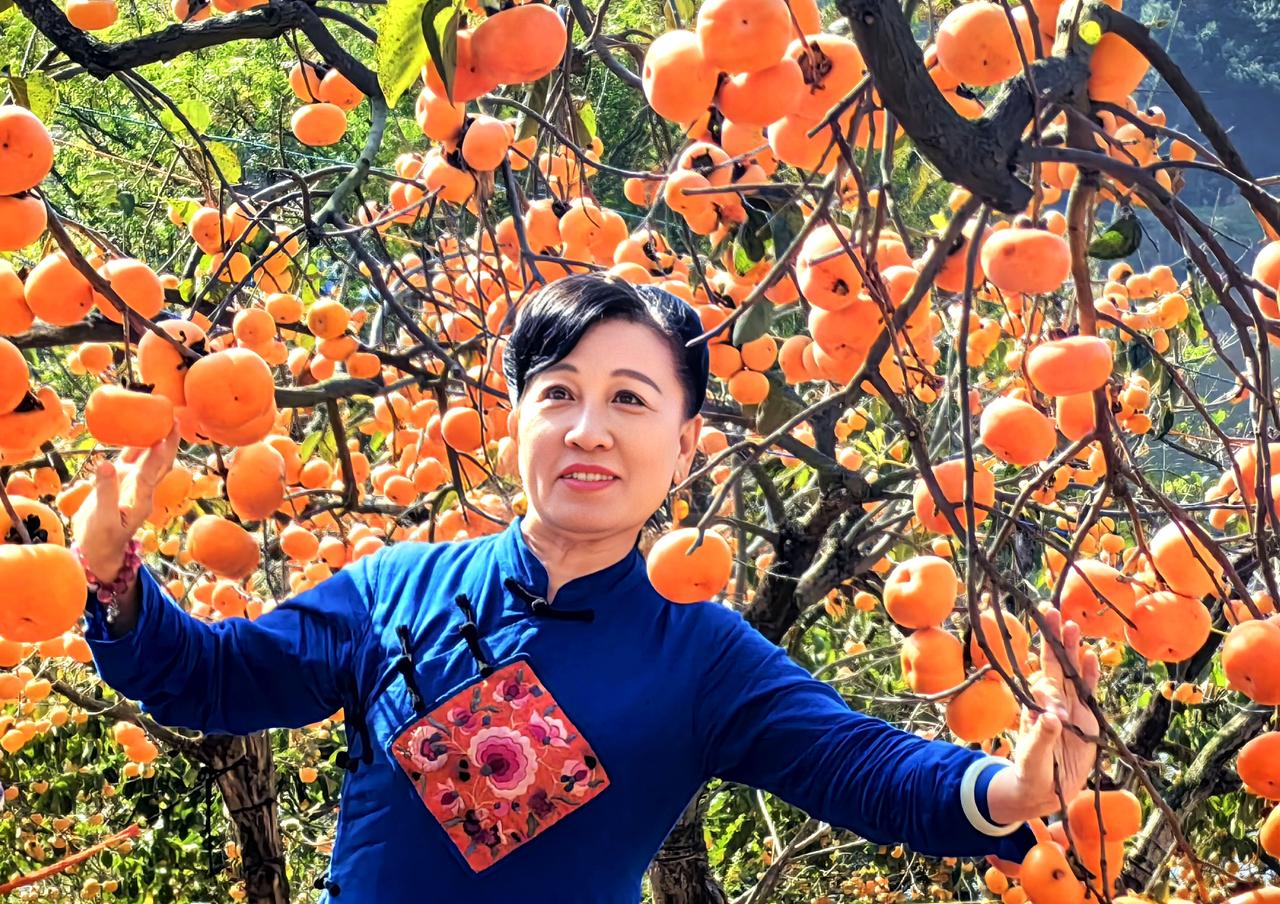 柿柿如意    
 广西平乐：18万亩柿子喜获丰收 
 冬日时节，广西桂林市平乐