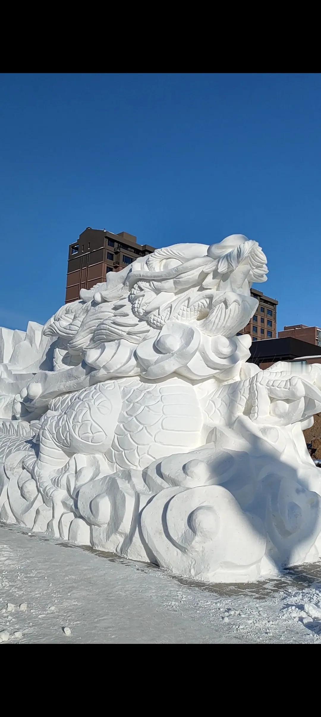 冬日生活打卡季东北小城的冬天，以雪为主题的各种风景。天气虽然冷，但这冰清玉洁的雪