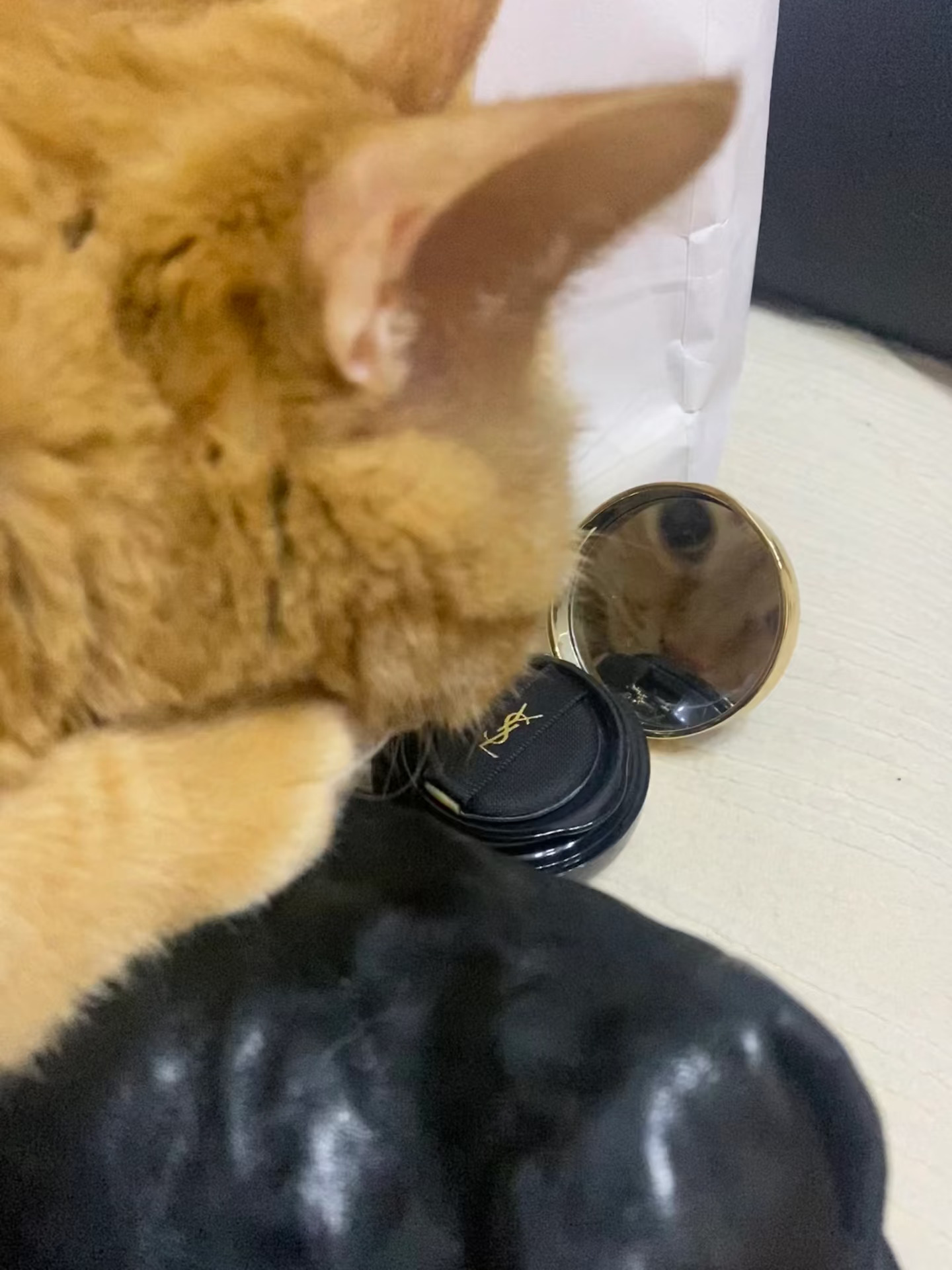 偷偷欣赏自己的美貌…
