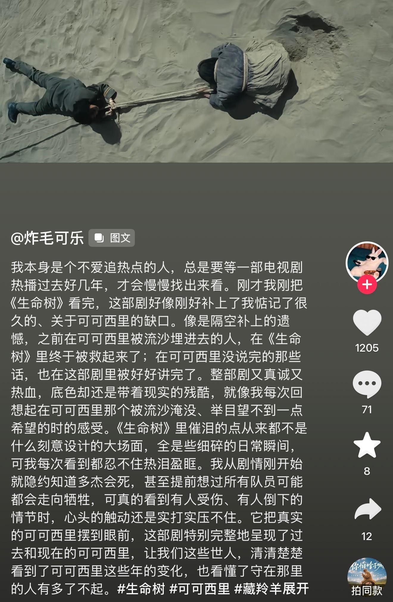 很开心有源源不断的新观众在追《生命树》。每次刷到这些追剧感悟，我都会再次被感动，