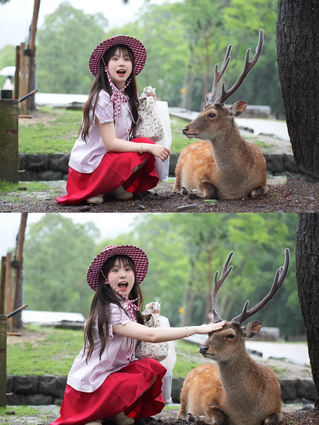 ੧ᐛ੭奈良小鹿🦌