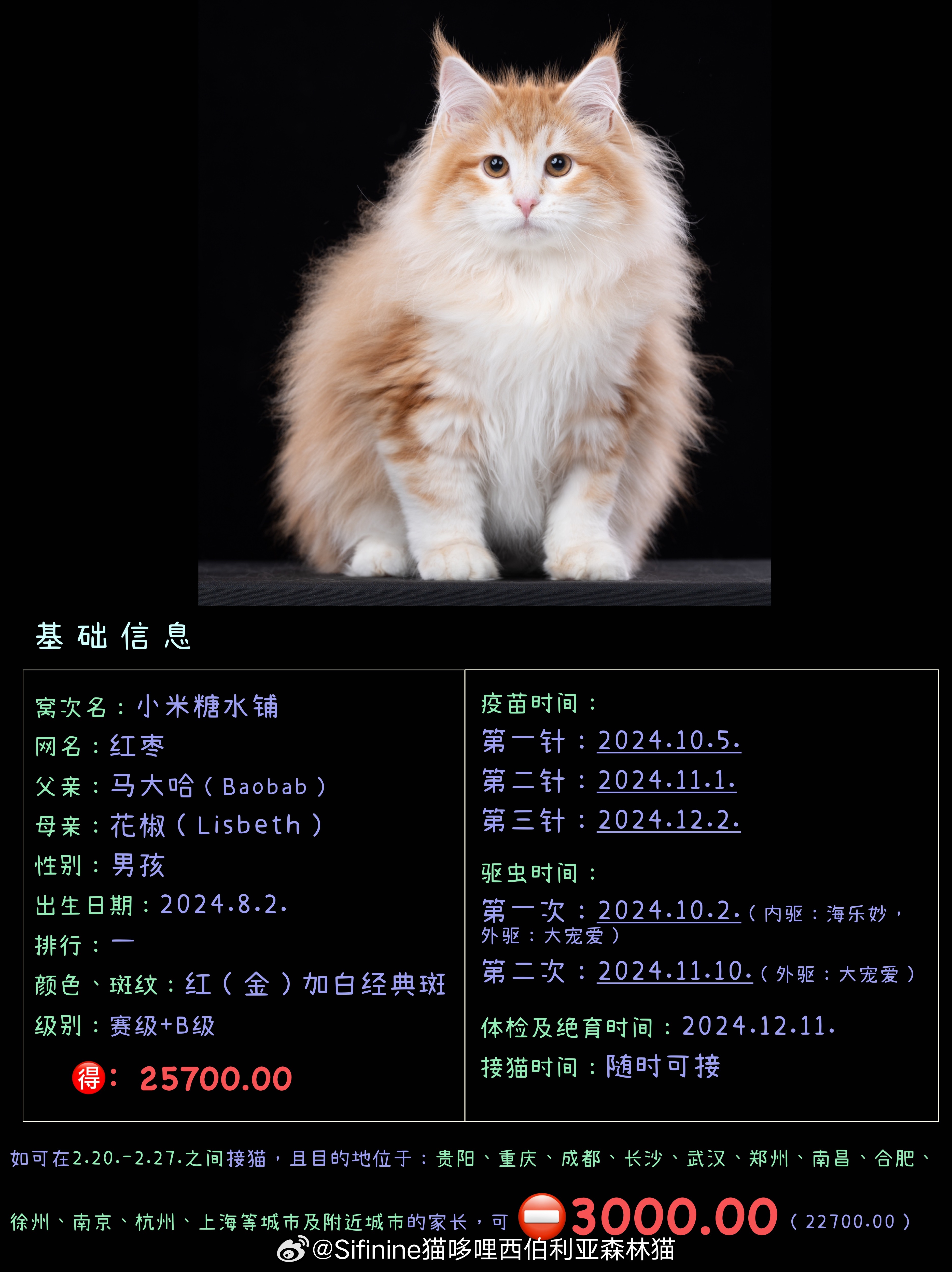 [打call]现猫大减价[打call]下周四（2.20.）开始，我们将开启昆明—