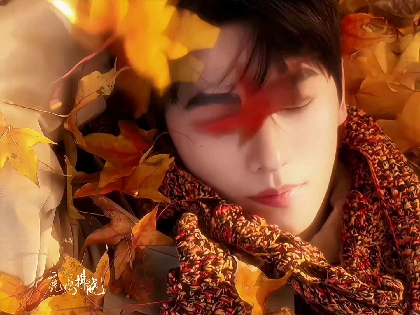 杨不修诚不欺我。 