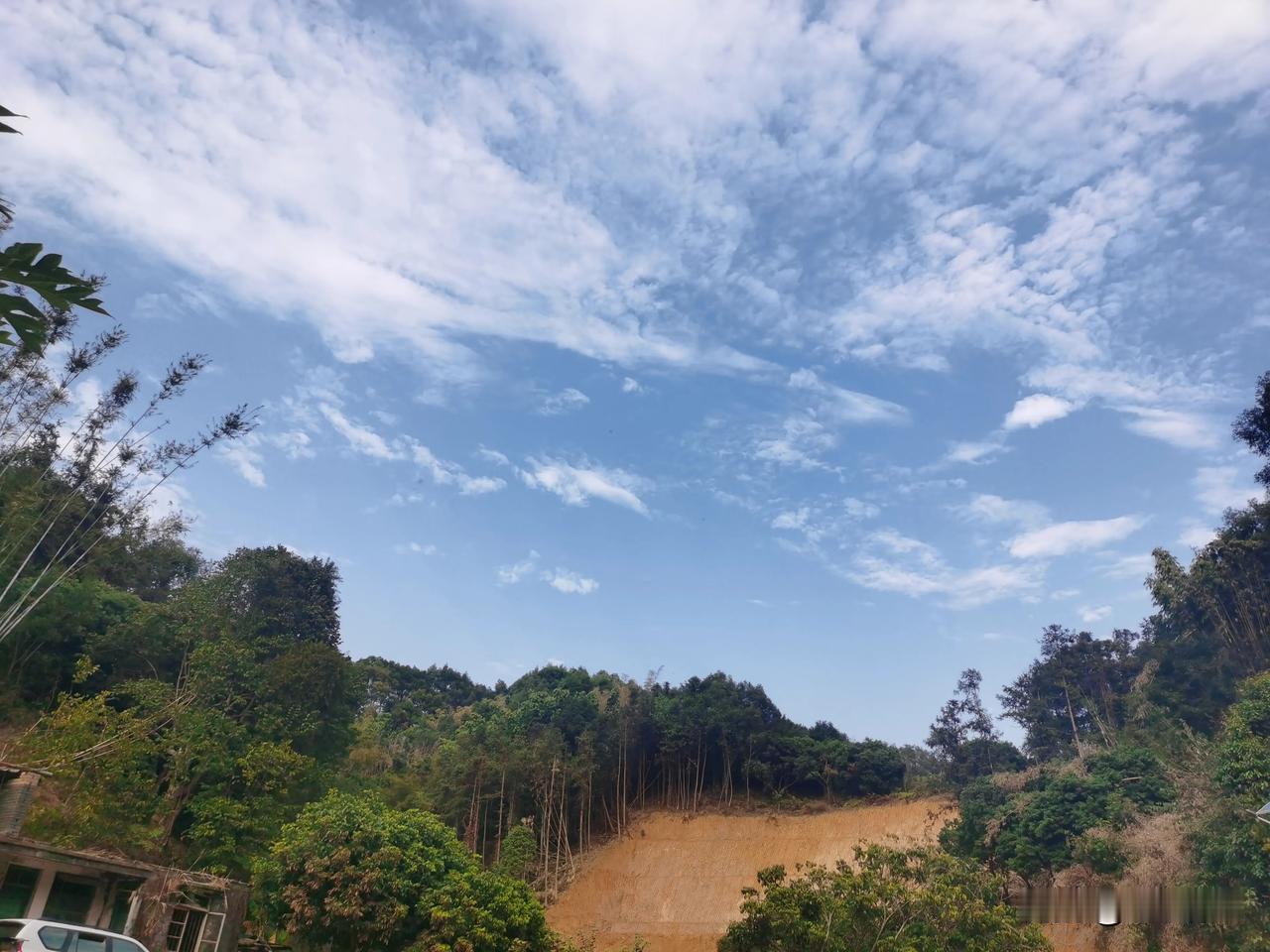 我的宝藏兴趣连续阴天雨天，太冷了