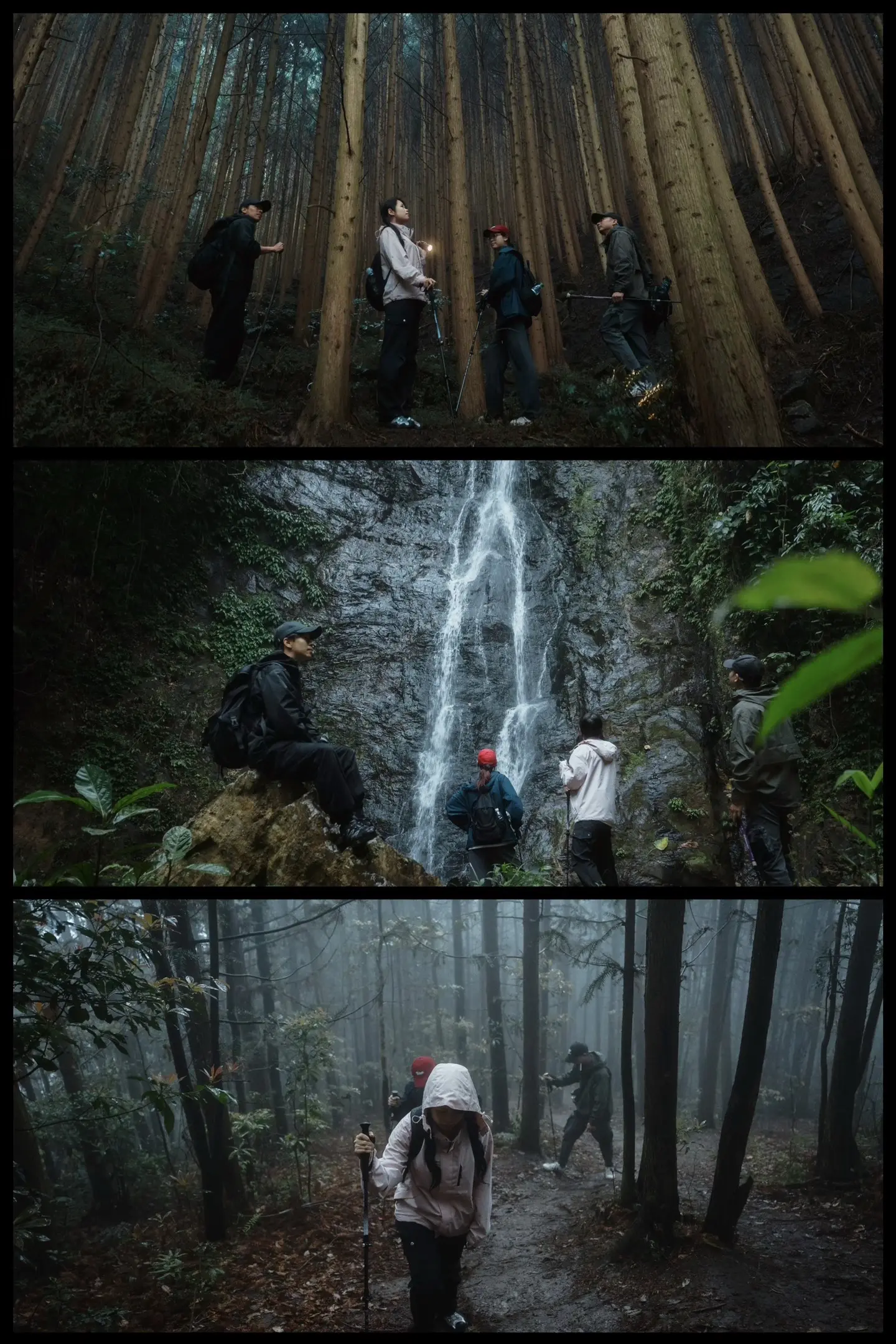 我在罗定找到了云南雨崩徒步的平替  |雨天的山林有着另一种美，八排山徒步登山游记