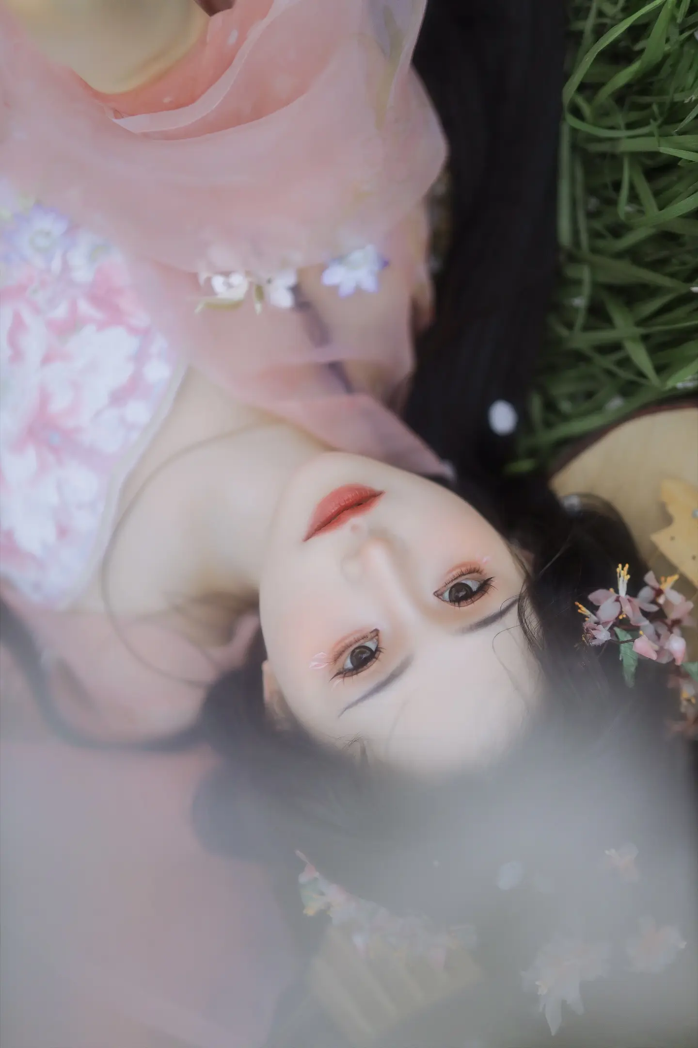 “春光作序，万物和鸣”