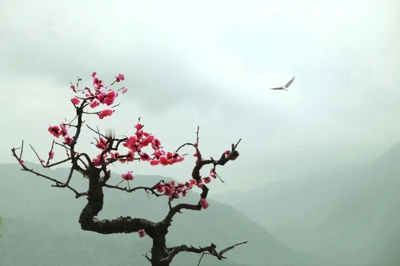 上联:雪落大地铺画纸，诚邀下联梅开深山点诗魂