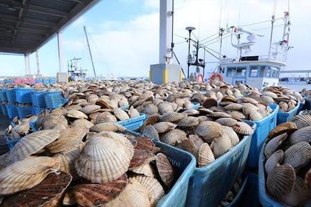 不出所料！日本不怕中国制裁，不怕经济下滑，不怕航班被取消，不怕拉走大熊猫，不怕旅