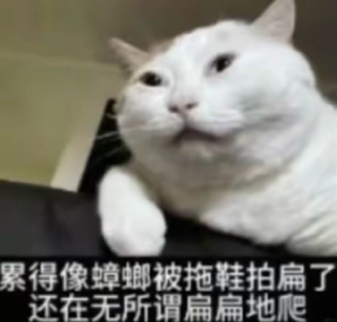 熬过今天就放假了 