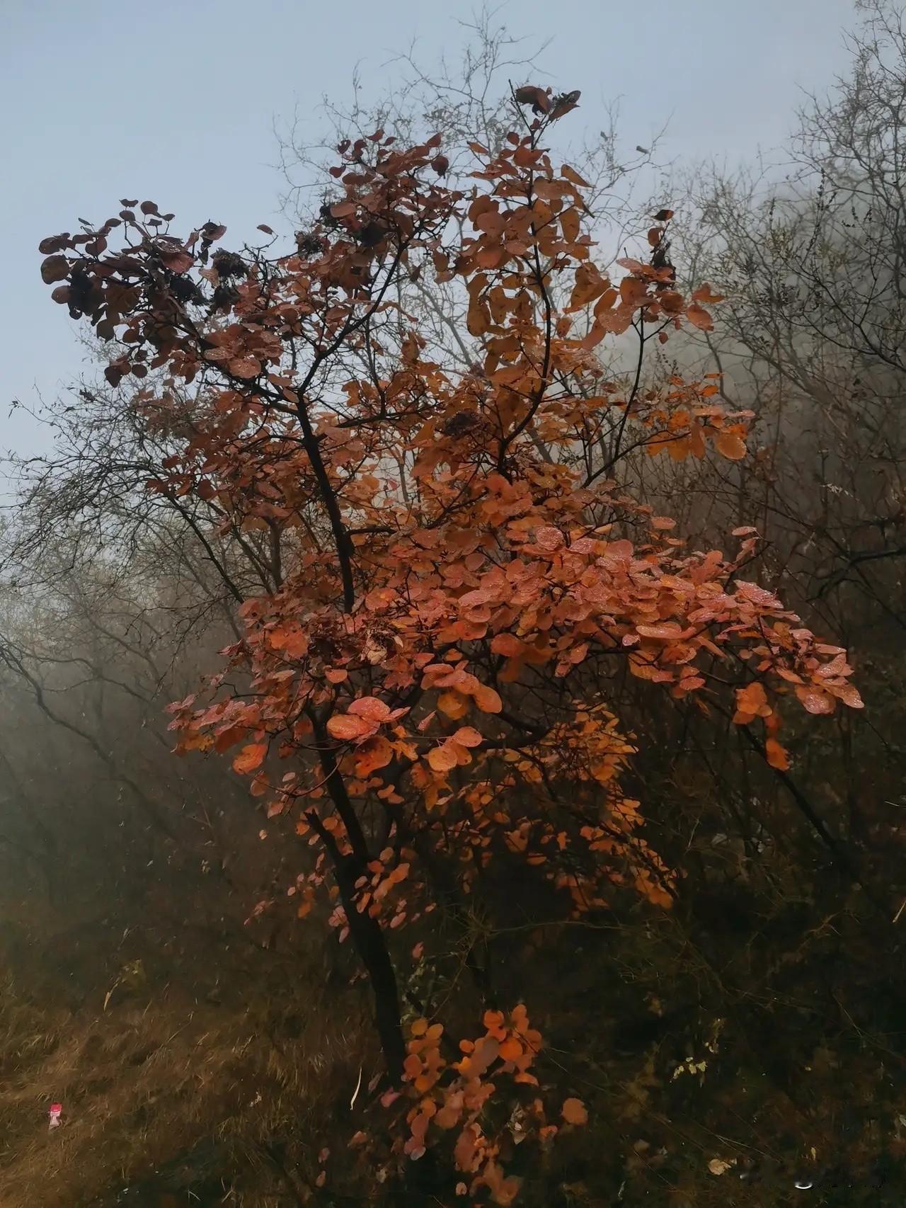 醒醒吧！别再迷信“流量密码”了！
“流量密码”本就是个伪命题！
头条上几位“教师