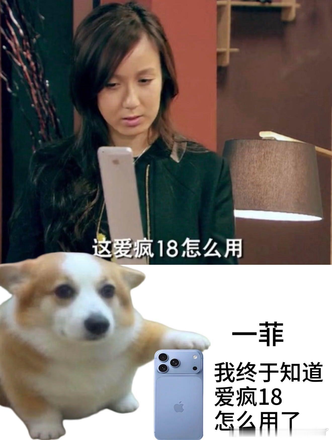 苹果回应iPhone18Pro破发 十二年前看一菲拿着擀面杖爱疯18笑到捧腹，如