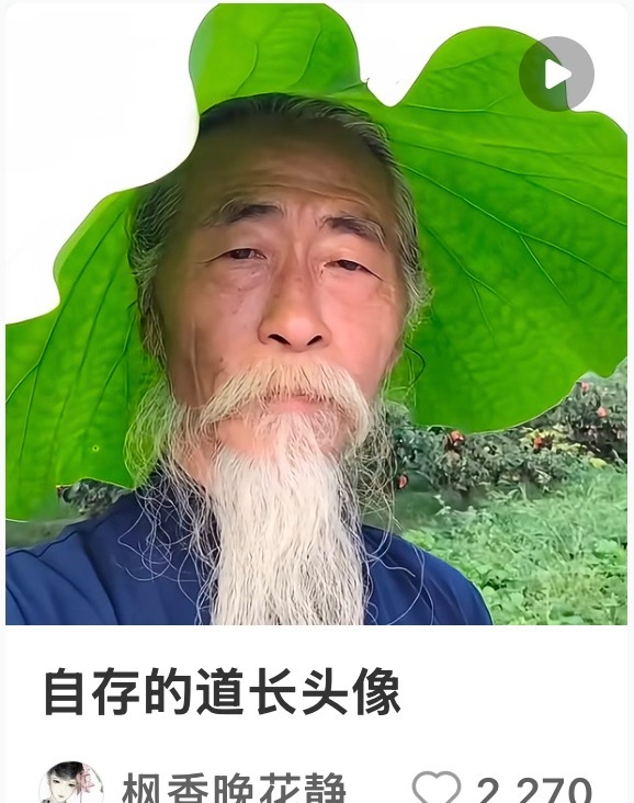红薯号也是彻底养好了 