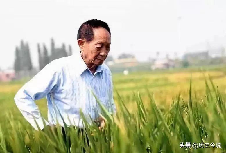 稻菽映初心：2006年袁隆平赴京探友，华国锋破例相迎
 
阅读此文前，诚邀您点击