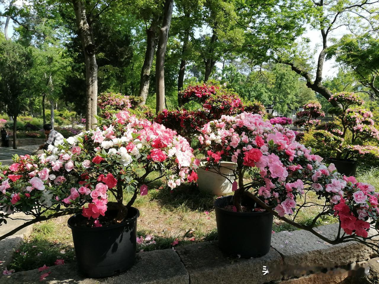 追逐本就是人世间的常态，因为，逐利是对未知最轻松的决策。
然而，后来的他们，怎么