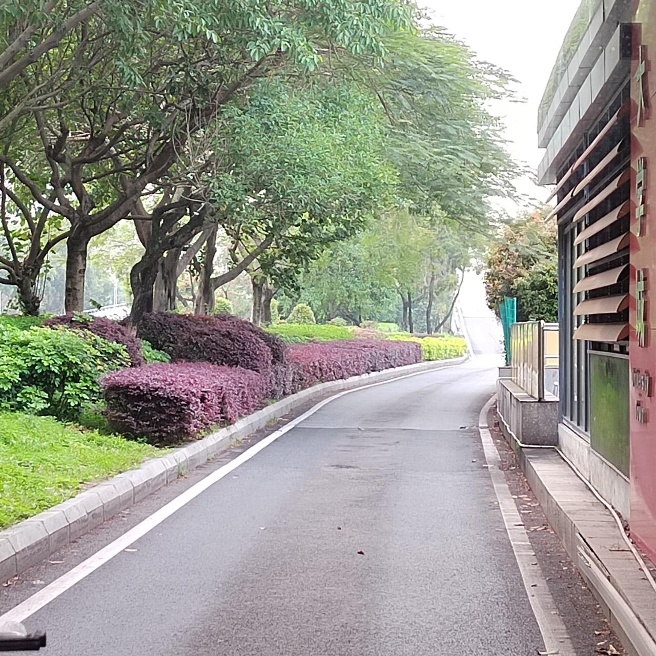 人生，无法左右的事情太多，人人都有苦衷， 事事都有无奈。既然万事难求周全，就别再